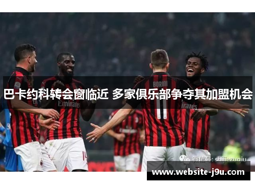 巴卡约科转会窗临近 多家俱乐部争夺其加盟机会