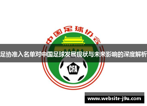 足协准入名单对中国足球发展现状与未来影响的深度解析